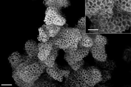 Image of porous nanoparticles.