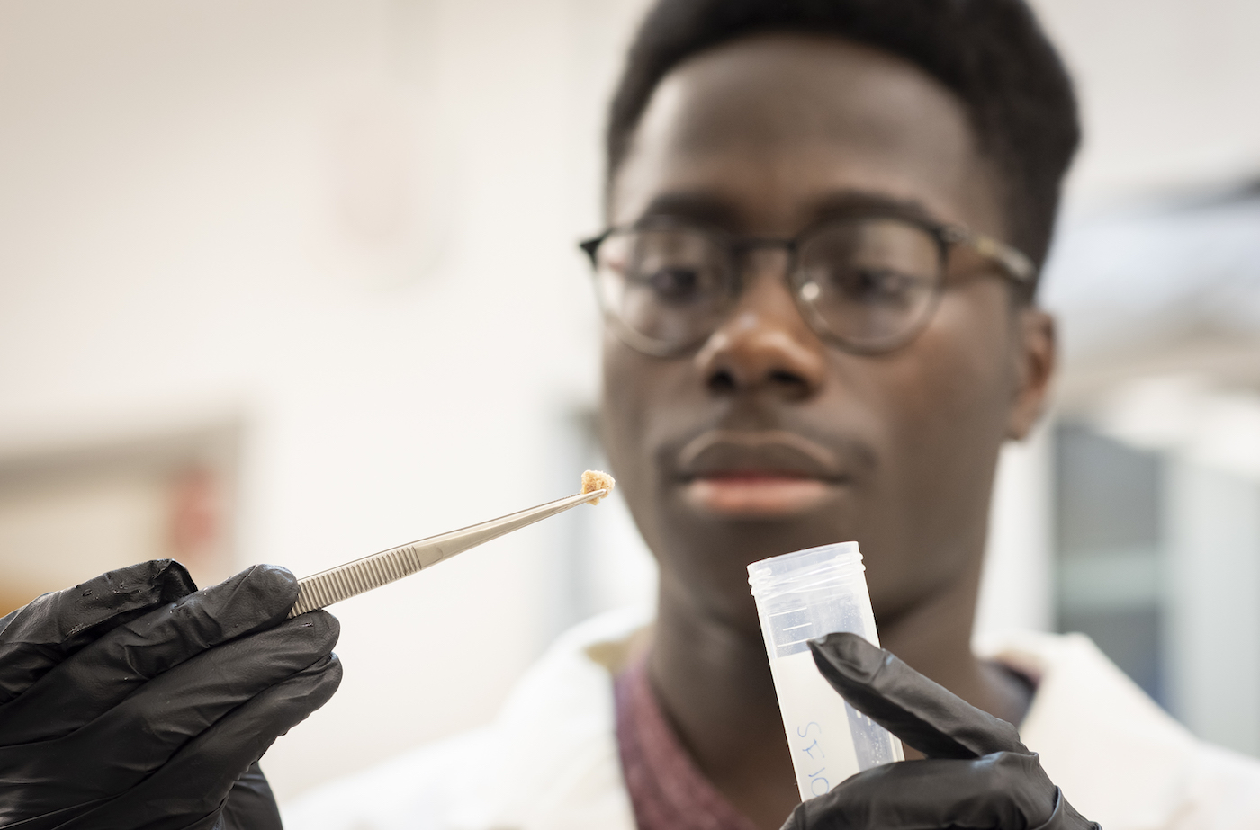 student looks closely at bone sample